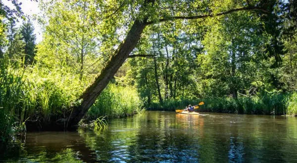 Mazury kajaki: Najlepsze trasy i praktyczne porady na spływ